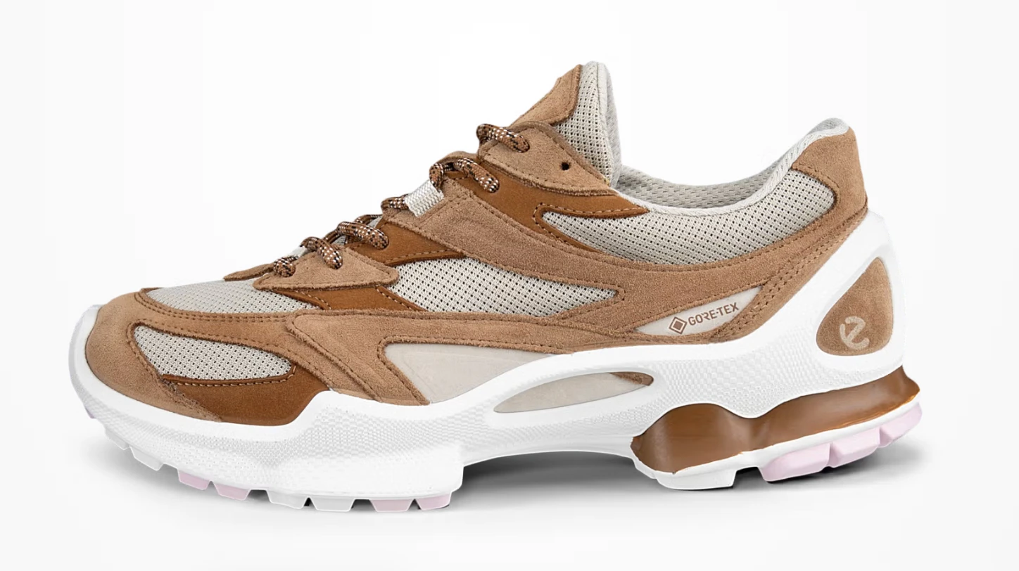 Product reference: the shoe on a white background